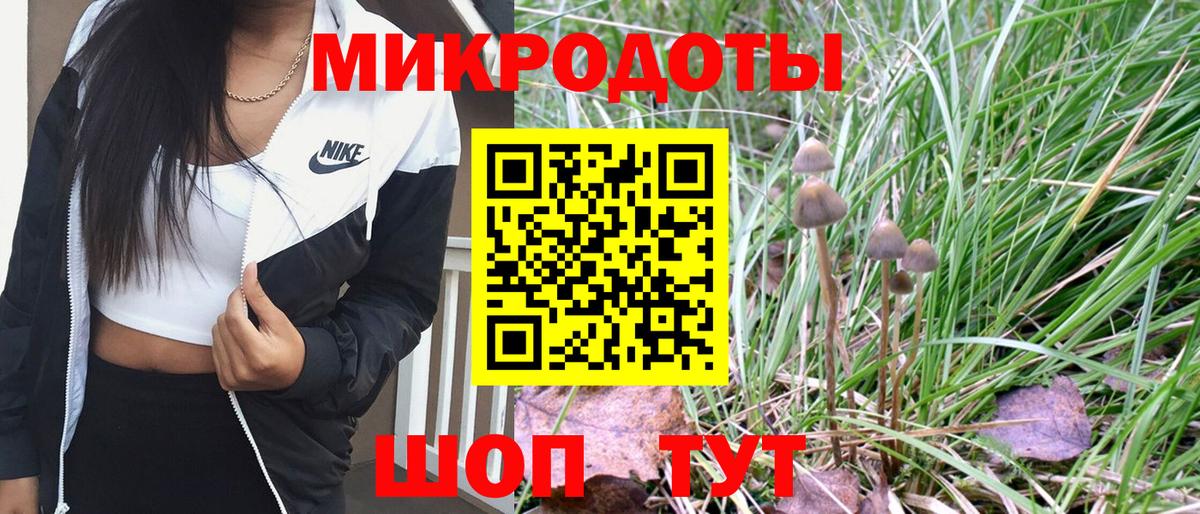 Менделеевск  Галлюциногенные грибы ЛСД  Галлюциногенные грибы мицелий  Вход с VPN 